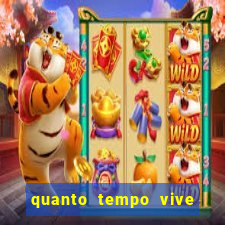 quanto tempo vive um passarinho bem-te-vi